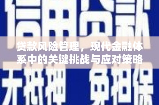 阜平贷款风险管理，现代金融体系中的关键挑战与应对策略
