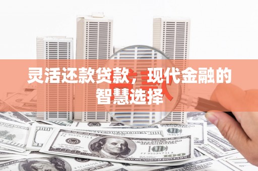 阜平灵活还款贷款，现代金融的智慧选择