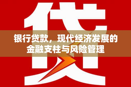 阜平银行贷款，现代经济发展的金融支柱与风险管理