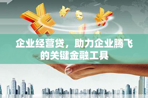 阜平企业经营贷，助力企业腾飞的关键金融工具