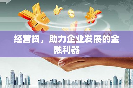 阜平经营贷，助力企业发展的金融利器