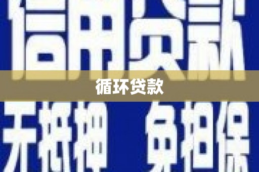 阜平循环贷款