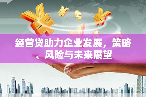 阜平经营贷助力企业发展，策略、风险与未来展望