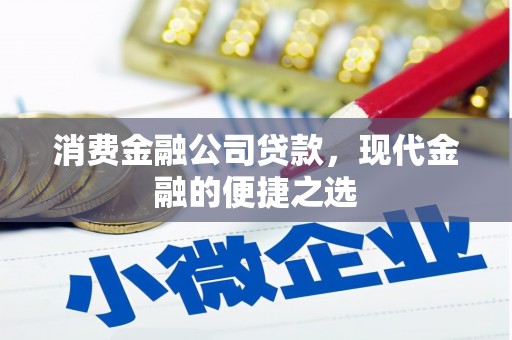 阜平消费金融公司贷款，现代金融的便捷之选