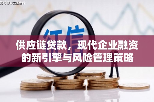 阜平供应链贷款，现代企业融资的新引擎与风险管理策略