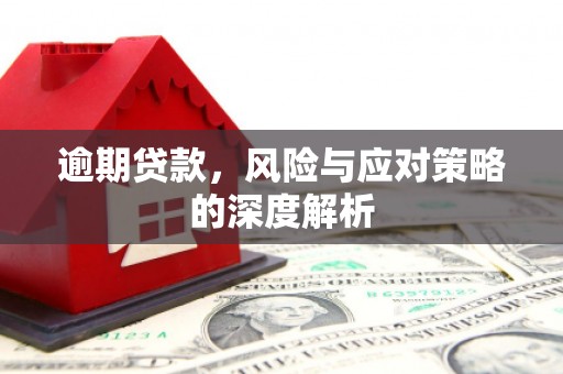 阜平逾期贷款，风险与应对策略的深度解析