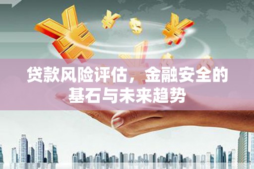 阜平贷款风险评估，金融安全的基石与未来趋势