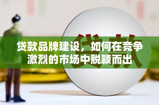 阜平贷款品牌建设，如何在竞争激烈的市场中脱颖而出