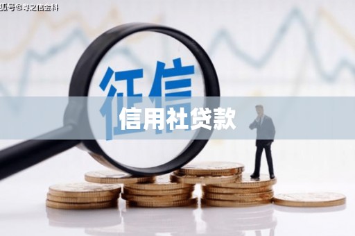阜平信用社贷款