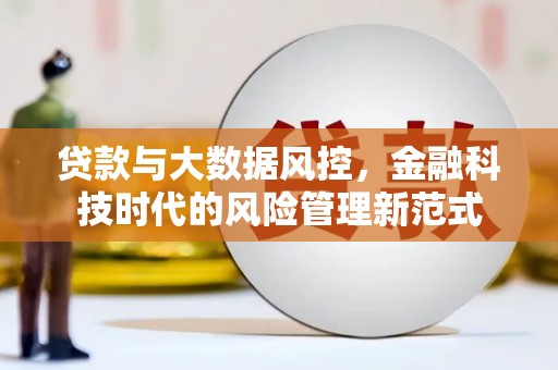 阜平贷款与大数据风控，金融科技时代的风险管理新范式