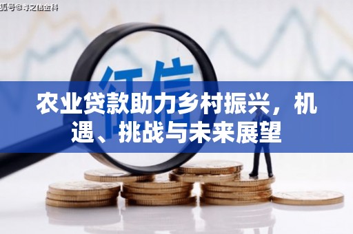 阜平农业贷款助力乡村振兴，机遇、挑战与未来展望