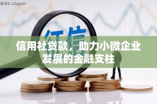 阜平信用社贷款，助力小微企业发展的金融支柱