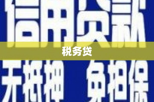 阜平税务贷