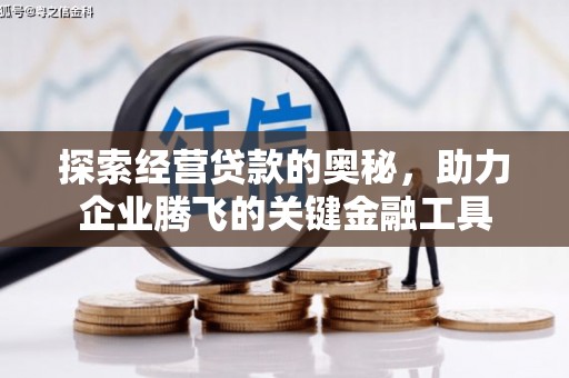 阜平探索经营贷款的奥秘，助力企业腾飞的关键金融工具