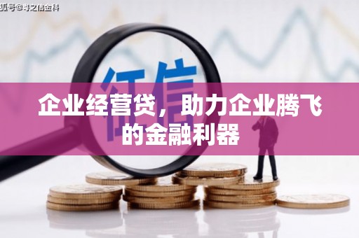 阜平企业经营贷，助力企业腾飞的金融利器