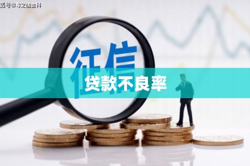 阜平贷款不良率