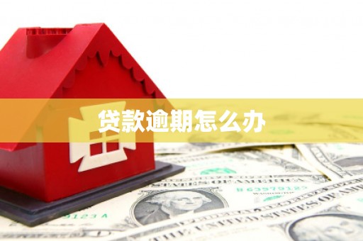 阜平贷款逾期怎么办