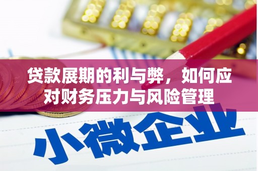 阜平贷款展期的利与弊，如何应对财务压力与风险管理