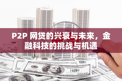 阜平P2P 网贷的兴衰与未来，金融科技的挑战与机遇