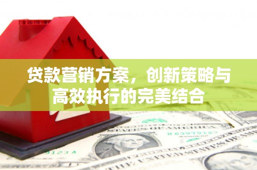 阜平贷款营销方案，创新策略与高效执行的完美结合