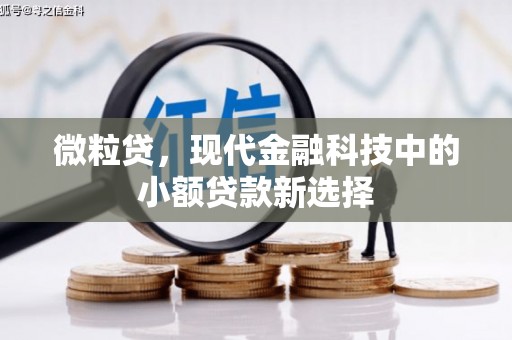 阜平微粒贷，现代金融科技中的小额贷款新选择