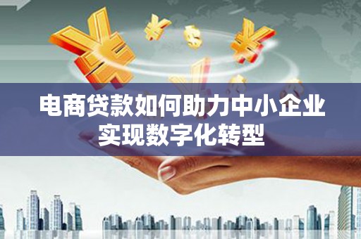 阜平电商贷款如何助力中小企业实现数字化转型