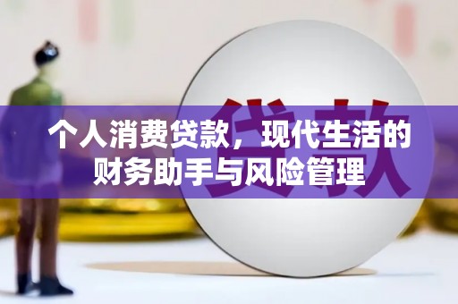 阜平个人消费贷款，现代生活的财务助手与风险管理