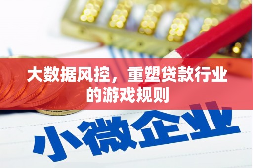 阜平大数据风控，重塑贷款行业的游戏规则