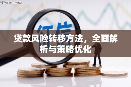 阜平贷款风险转移方法，全面解析与策略优化