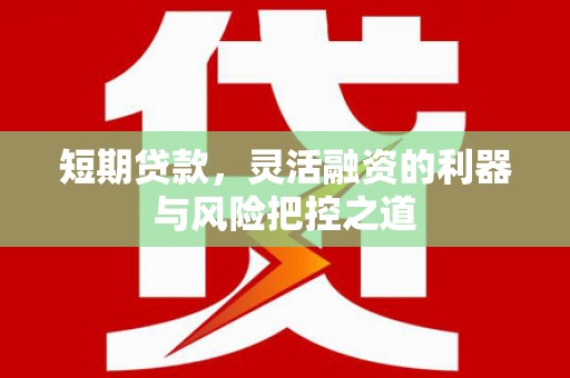 阜平短期贷款，灵活融资的利器与风险把控之道