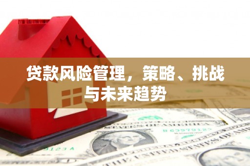 阜平贷款风险管理，策略、挑战与未来趋势