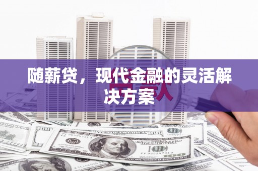 阜平随薪贷，现代金融的灵活解决方案