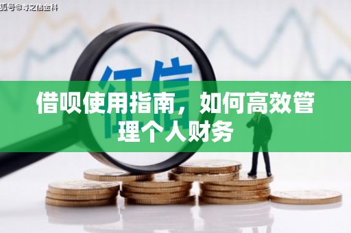 阜平借呗使用指南，如何高效管理个人财务