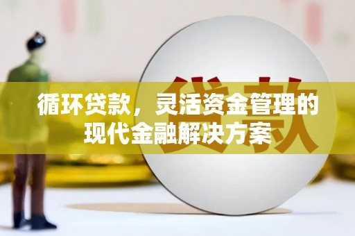阜平循环贷款，灵活资金管理的现代金融解决方案