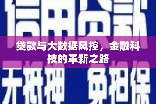 阜平贷款与大数据风控，金融科技的革新之路