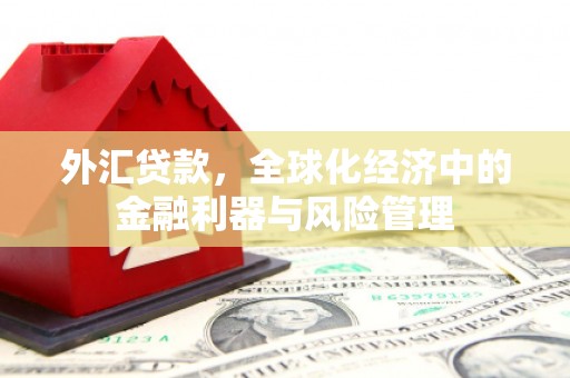 阜平外汇贷款，全球化经济中的金融利器与风险管理