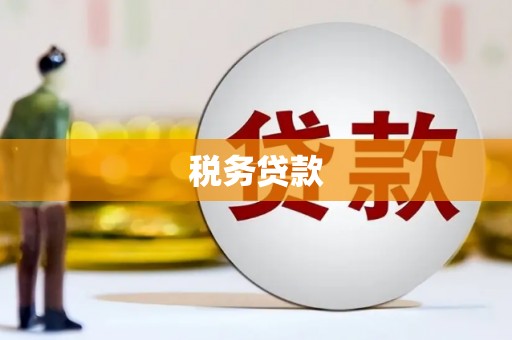 阜平税务贷款