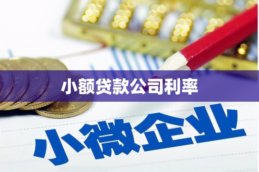 阜平小额贷款公司利率