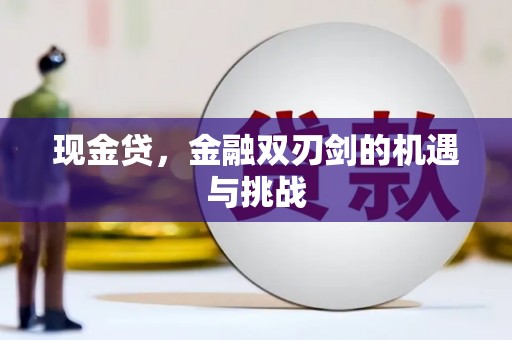阜平现金贷，金融双刃剑的机遇与挑战