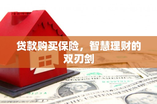 阜平贷款购买保险，智慧理财的双刃剑