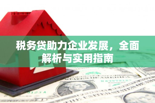 阜平税务贷助力企业发展，全面解析与实用指南