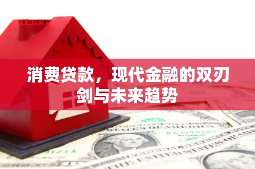 阜平消费贷款，现代金融的双刃剑与未来趋势