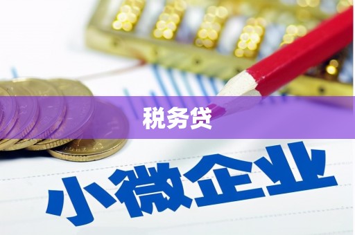 阜平税务贷