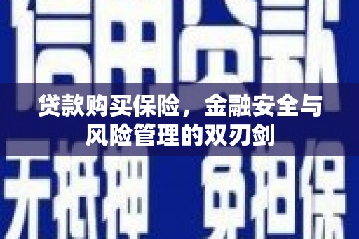 阜平贷款购买保险，金融安全与风险管理的双刃剑