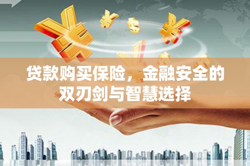 阜平贷款购买保险，金融安全的双刃剑与智慧选择