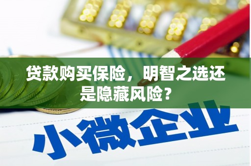 阜平贷款购买保险，明智之选还是隐藏风险？
