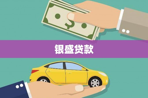 阜平银盛贷款
