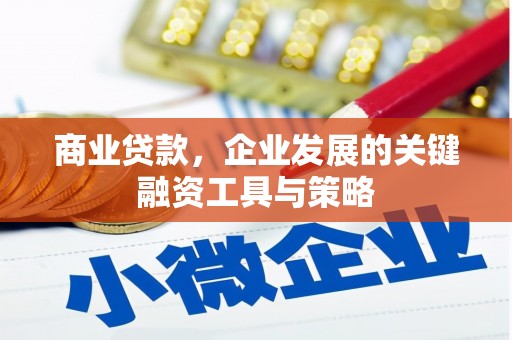 阜平商业贷款，企业发展的关键融资工具与策略