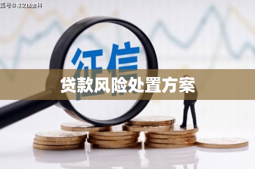 阜平贷款风险处置方案