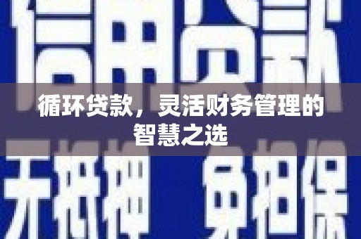 阜平循环贷款，灵活财务管理的智慧之选